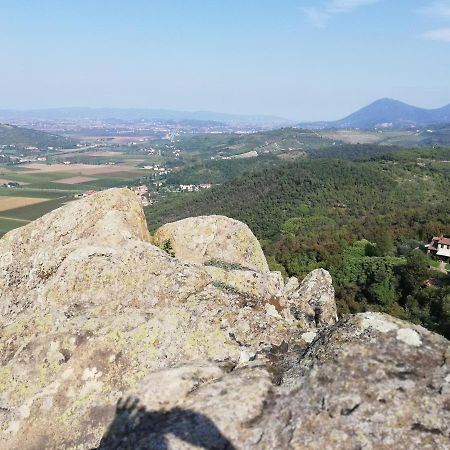 B&B Martina Agugliaro Dış mekan fotoğraf